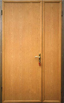 Тамбурная дверь с покрытием ламинат