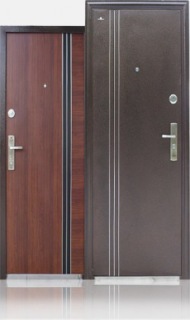 Входные теплые двери ТД-823 (TOODOORS)